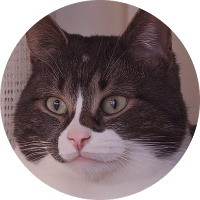 pfp of me